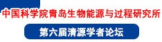 中國科學院青島生物能源與過程研究所第六屆清源學者論壇